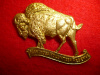 M149 - The Manitoba Volunteer Reserve Cap Badge